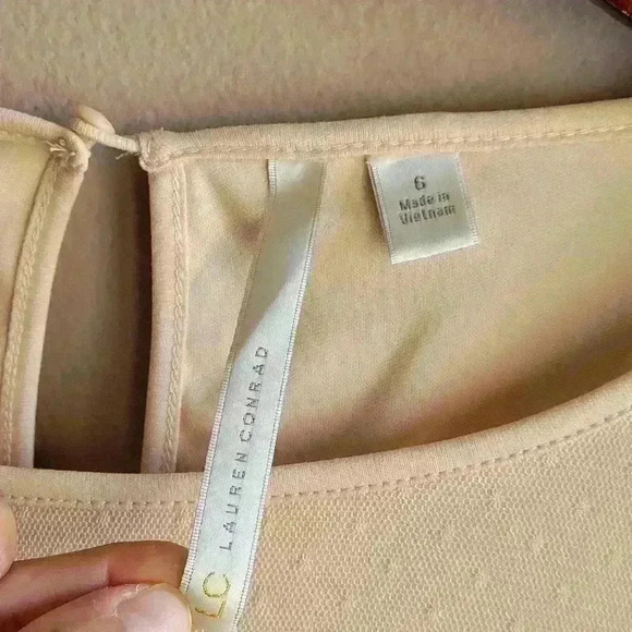 Lauren Conrad Cream Black Mesh  Floral Sleeveless Fit & Flare Lace Dress Size 6 - Picture 4 of 11